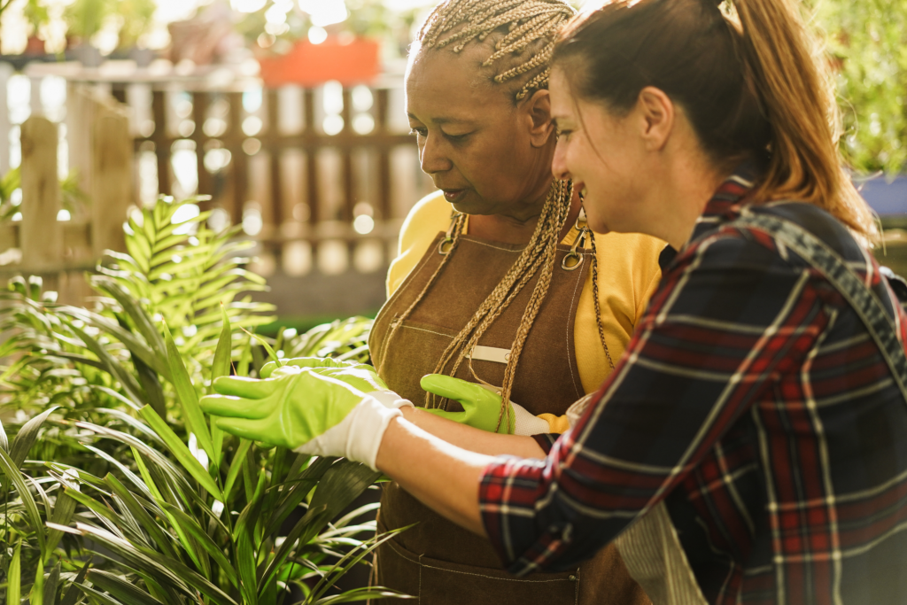 Multiracial women working inside glasshouse garden 2025 02 21 07 32 34 utc