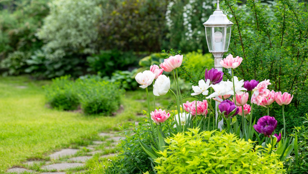 Vintage decorative garden lamp surrounded by bloom 2026 01 08 07 48 30 utc