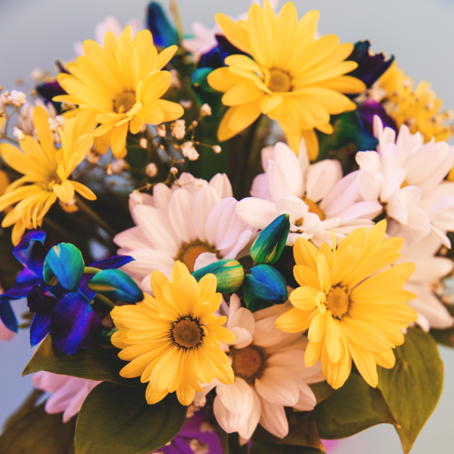 Chrysanthemum bouquet on a blue background great 2024 10 11 22 56 19 utc