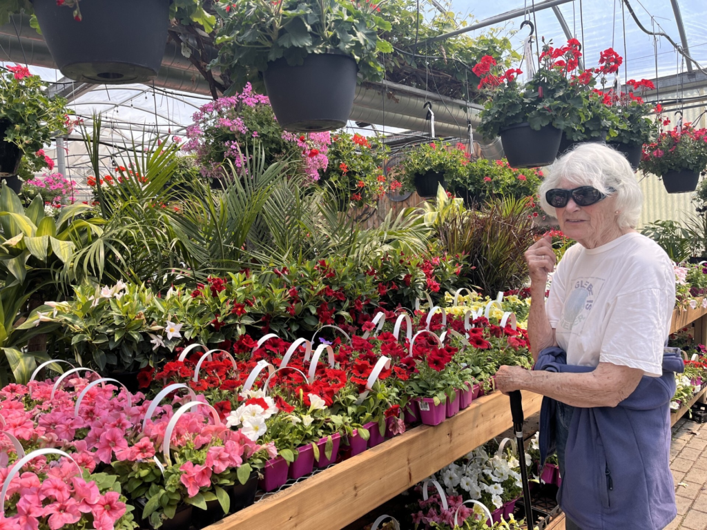Abbotsford Volunteer Gardener Carol MacLeod picks the perfect flowers for the Abbotsford garden beds.