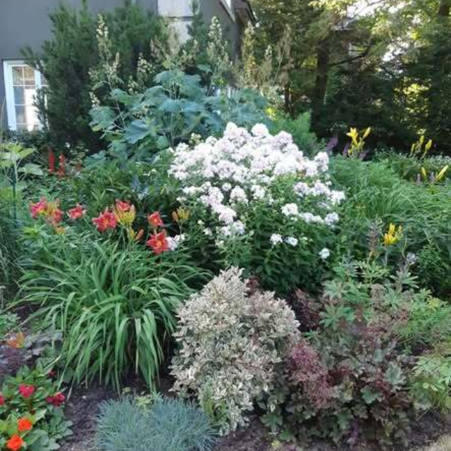 A garden with a view like this… but not just anyone gets in!