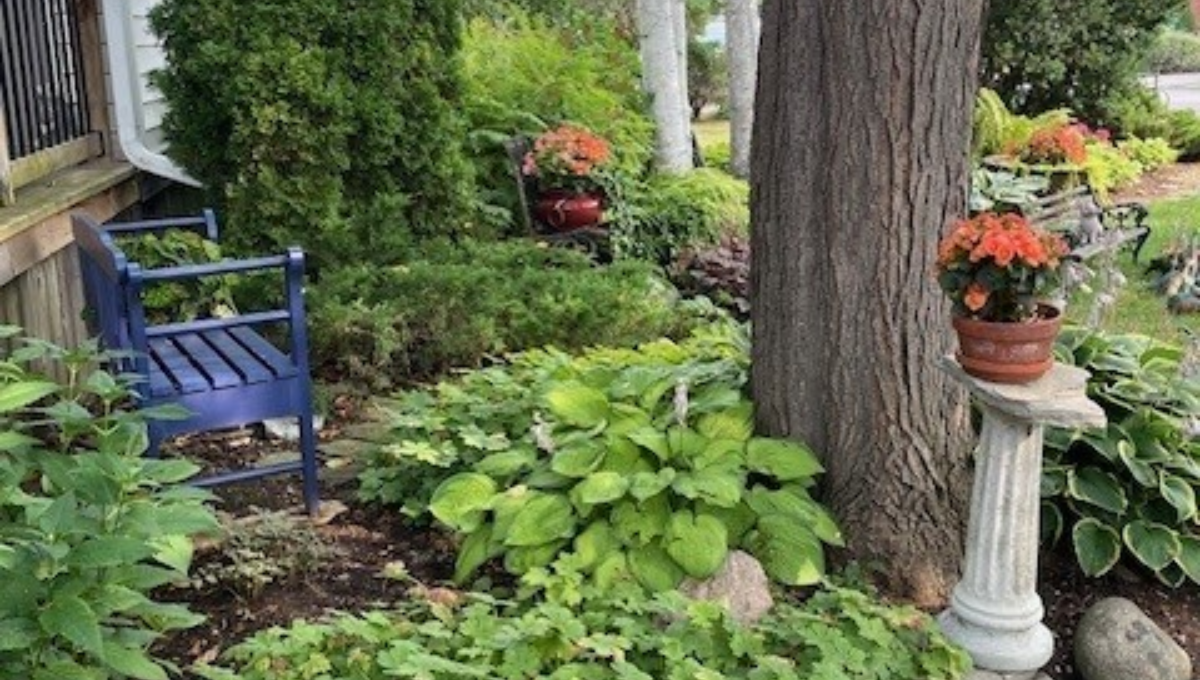 Lucious garden with blue bench